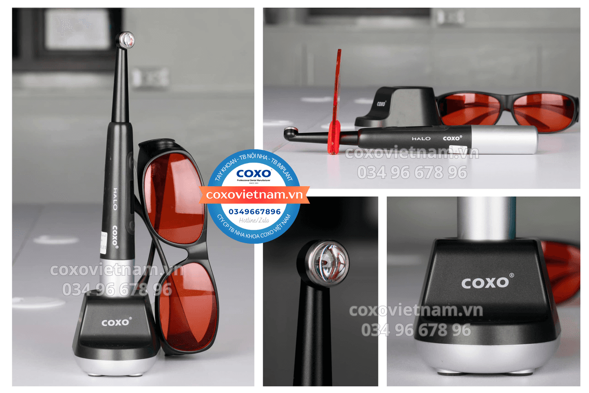 Đèn quang trùng hợp COXO DB686 Q1 5