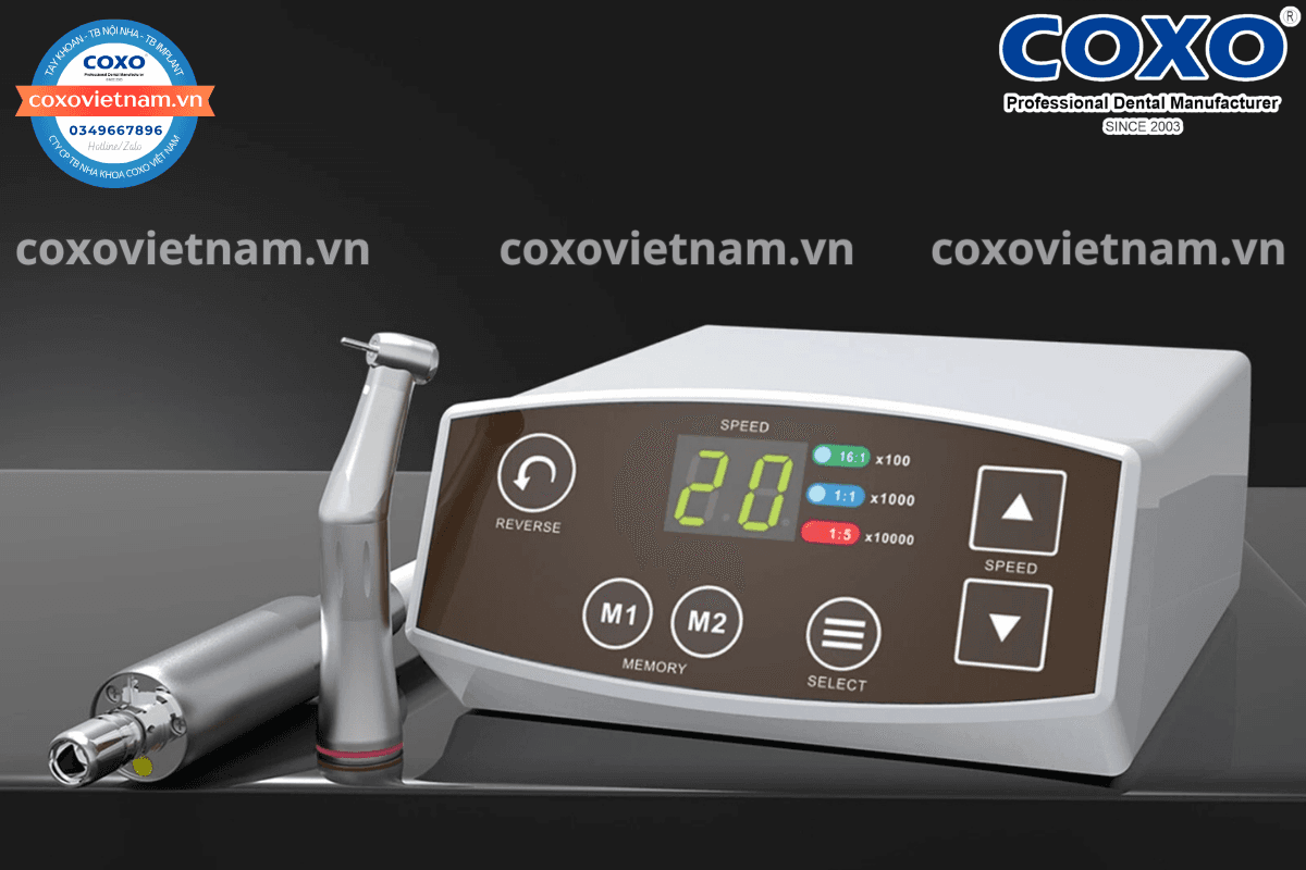 Động cơ motor điện COXO C-Puma 2