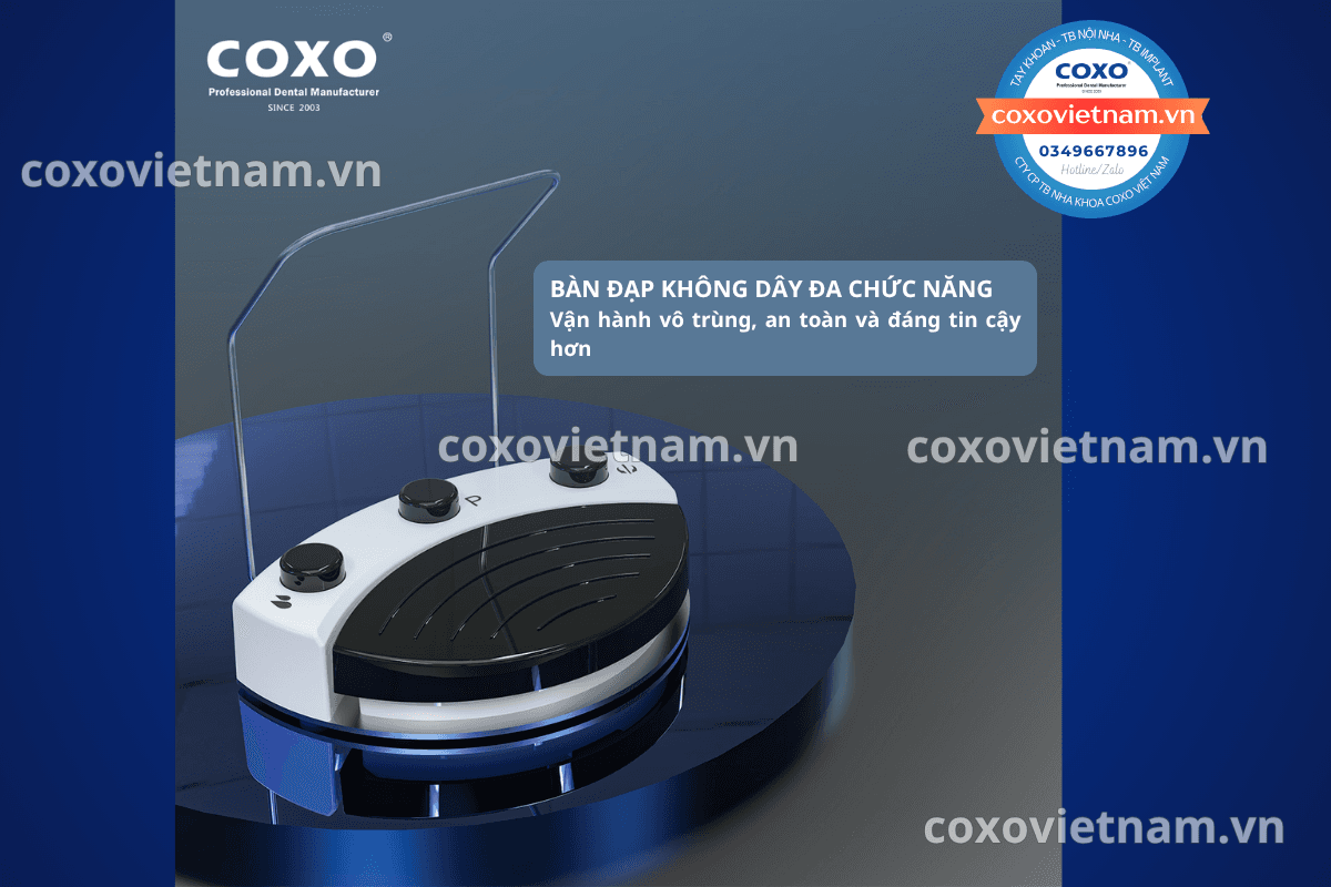 Máy cắm implant Coxo C-Sailor Pro+ 8